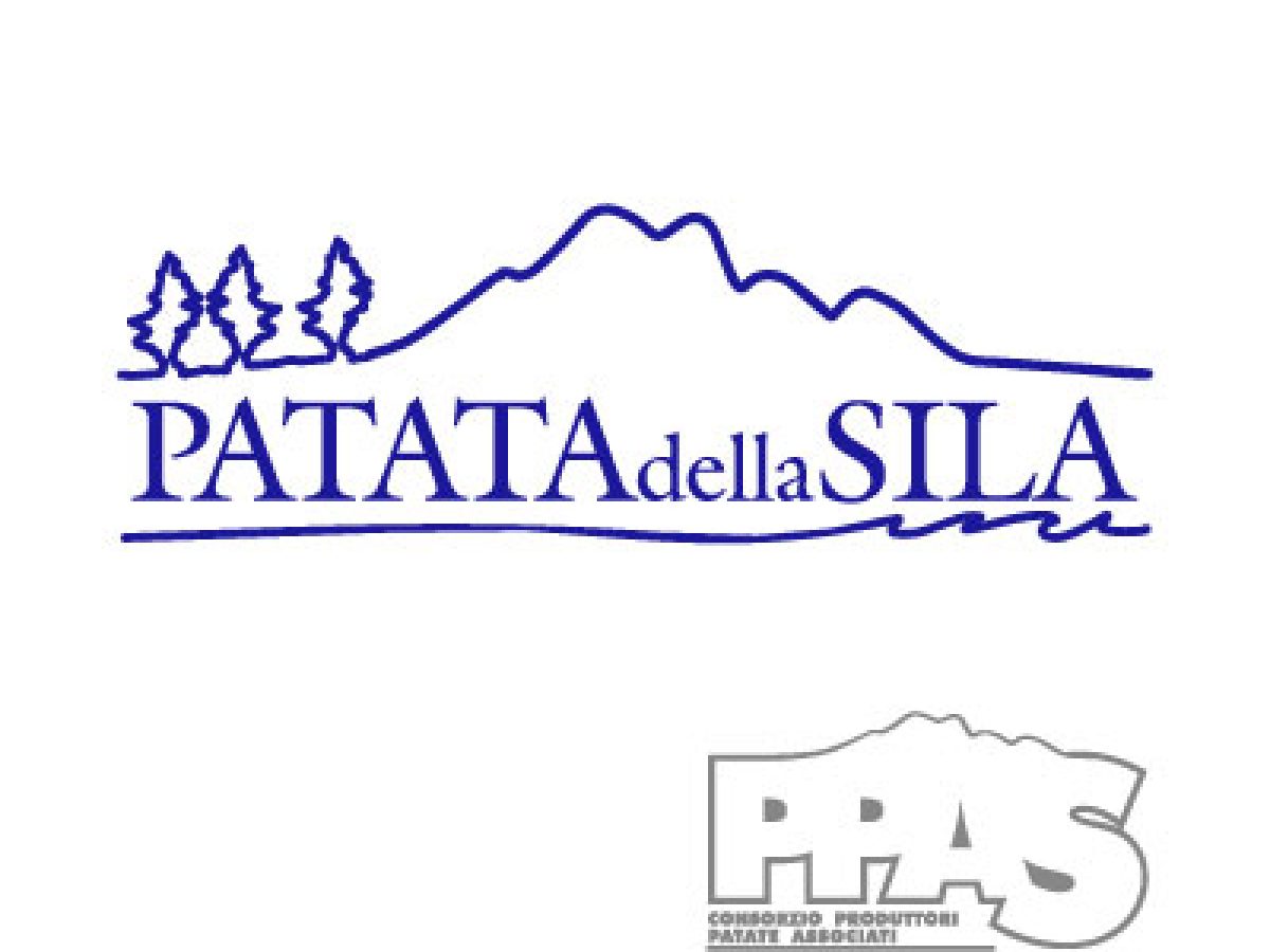 Patata della Sila